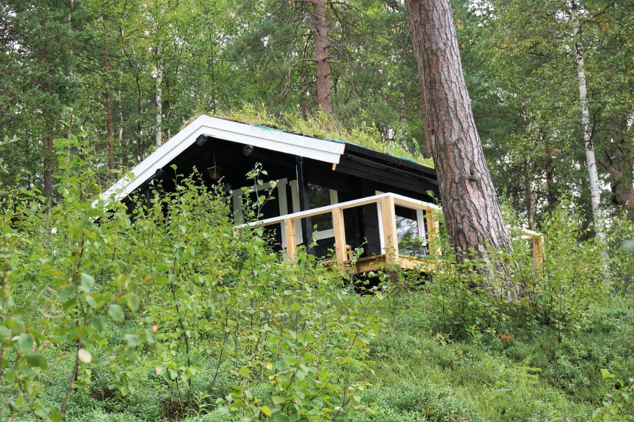 Bed and Breakfast Birk Bed & Birds Svanvik Exterior foto