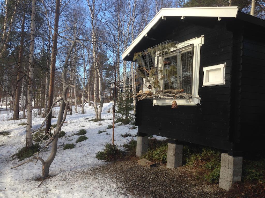 Bed and Breakfast Birk Bed & Birds Svanvik Exterior foto