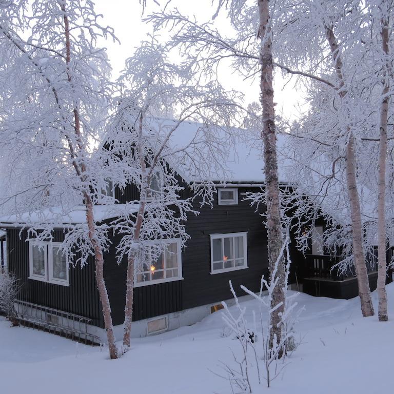 Bed and Breakfast Birk Bed & Birds Svanvik Exterior foto