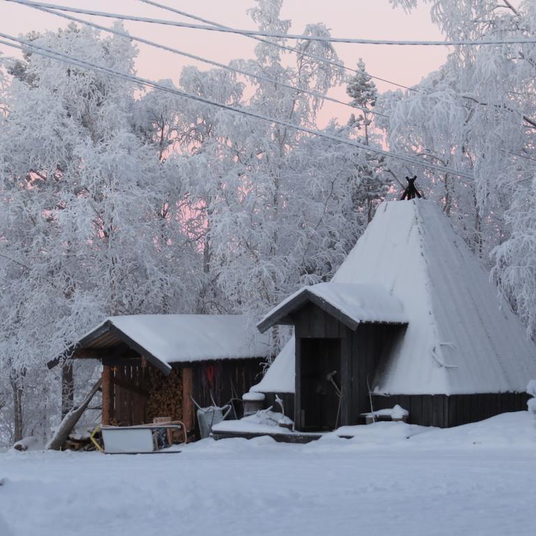 Bed and Breakfast Birk Bed & Birds Svanvik Exterior foto