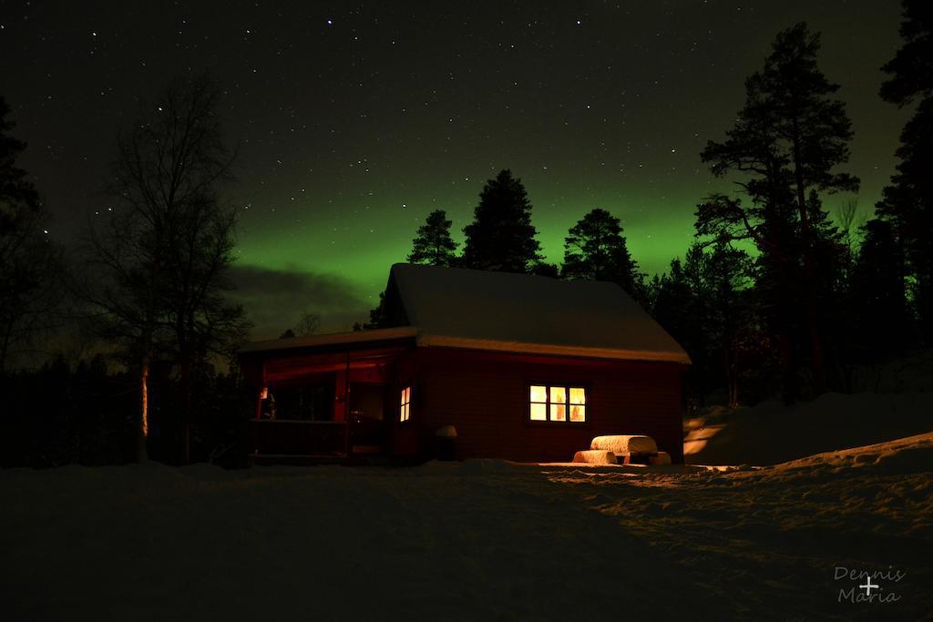 Bed and Breakfast Birk Bed & Birds Svanvik Exterior foto