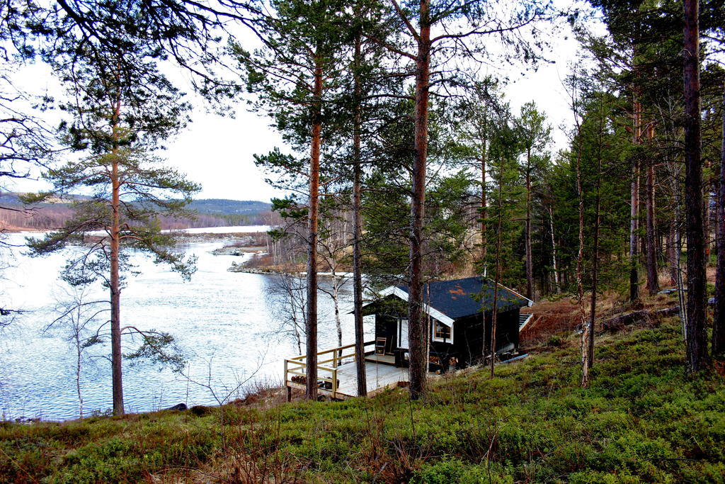 Bed and Breakfast Birk Bed & Birds Svanvik Exterior foto