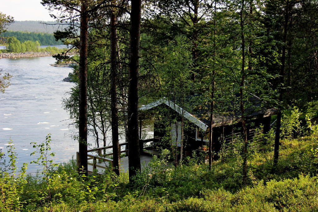 Bed and Breakfast Birk Bed & Birds Svanvik Exterior foto